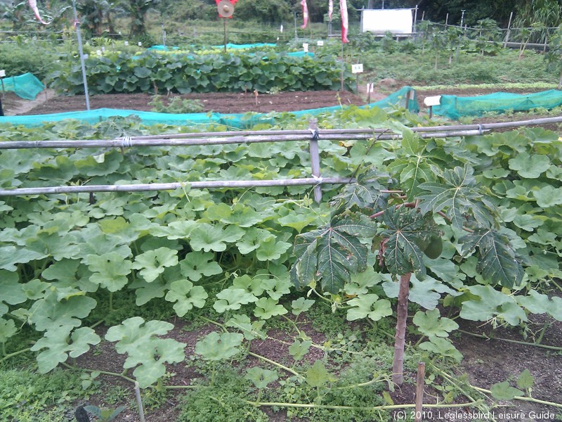 20100215Farm Visit41.jpg
